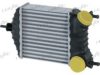 FRIGAIR 0704.3019 Intercooler, charger